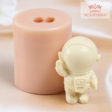 Mold Silicon 