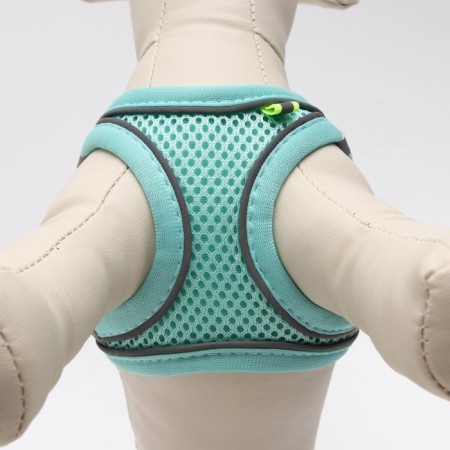 A set with a soft harness, size XXS, leash 150 x 1.5 cm, OG 28-30 cm, Osh 24-26 cm, turquoise-4