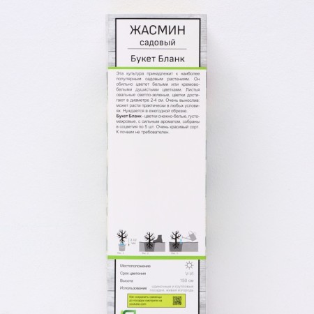 Jasmine Garden (Monaure) "Bouquet Blank", 1 pc, tube, spring 2024-1