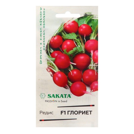 Seeds Radis "Gloriet", F1 0.5 g