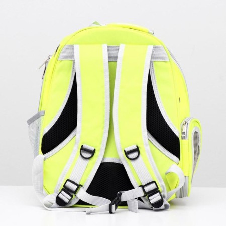 Backpack for carrying animals, transparent, 31 x 28 x 42 cm, yellow-4