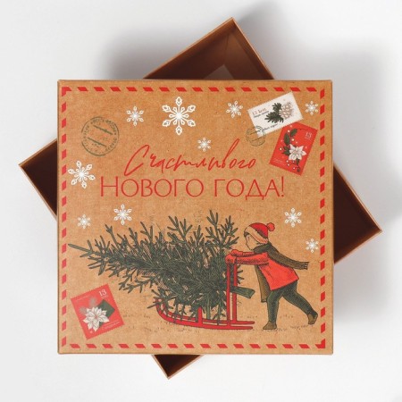 Box the team "New Year's Post", 17 x 17 x 7 cm, New Year-3