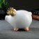 Piggne "Pig Princess" 15x12x17cm