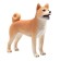 Figure Konik "Siba-Inu"