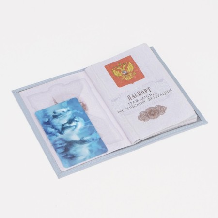 Passport cover, light gray color-4