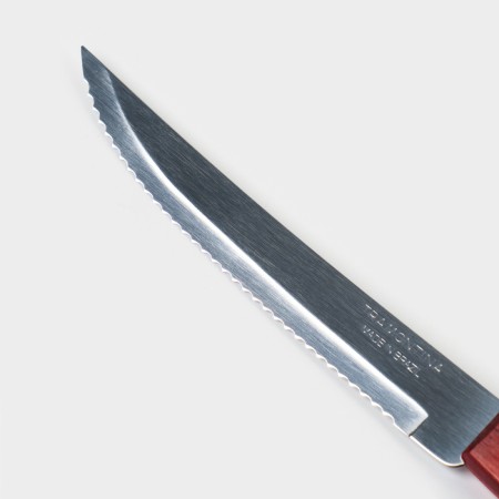 Kitchen knife for meat Tramontina Polywood, blade 12.5 cm-2