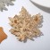 Brooch "Liszt" Maple autumn, color in gold
