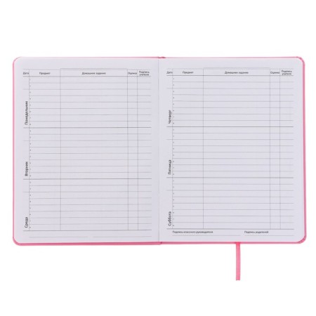 Universal diary for grade 1-11 yes, but no, "solid cover, artificial leather, silkography, lies, 80 g/m2-4