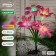 Garden lamp on the sunny battery "Lily Pink", 80 cm, 4 LED, glow of multi (RGB)