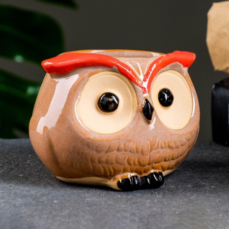 Pot "Boom owl" 8x6x5.5cm-4