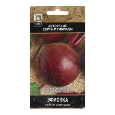 Seeds of beetroot 