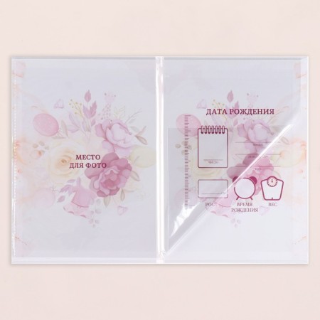 Folder for birth certificate "Girl" frame, balls, a5-2