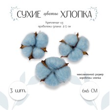 Dry flowers of cotton, set 3 pcs., Size 1 pc. 6 × 6 cm, blue color