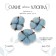 Dry flowers of cotton, set 3 pcs., Size 1 pc. 6 × 6 cm, blue color