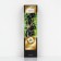 Currant Black Prospective varieties "Oryol waltz", 1 pc, tube, spring 2025