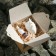 Flavor in the deflector ceramic wolf, Grand Caratt + Aromamlo