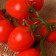 Flip "Tomatoes on a branch" 3.5x16.5 cm, on a branch 16 pcs, mix