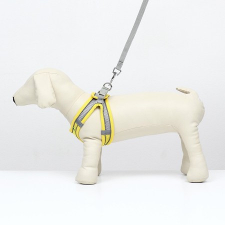 A set with a soft harness, fast-open, s, leash 150 x 1.5 cm, Osh 33-36 cm, OG 35-40 cm, yellow-1