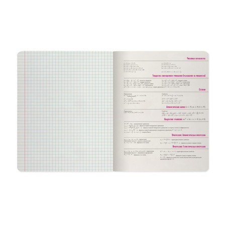 The subject of the "raspberry", 48 sheets in the algebra cage, cardboard cover, SoftTouch lamination-4