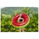 Circle for swimming "Fruits", from 12 years old, mix, 36121 Bestway
