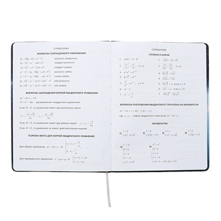Universal diary for grade 1-11 Football Time, solid cover, artificial leather, foam rubber, liesse, 80 g/m2-9