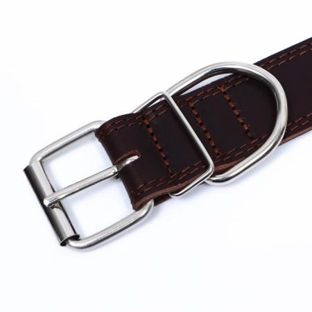 Collar of two-layer leather on the suede, 3.5 cm, Osh 41-51 cm, brown-4