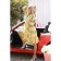 Women's dress, size 50, yellow color