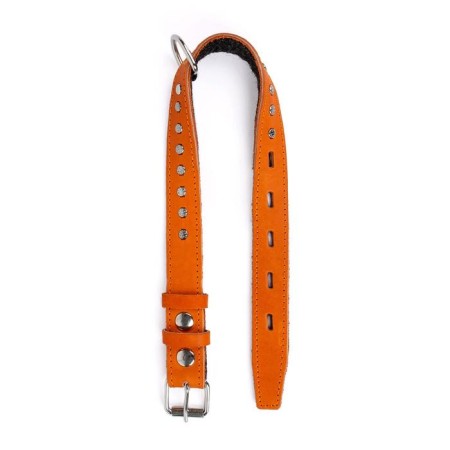 Leather collar with a lining decorated "Zononic", Osh 25-52 x 2.5 cm, mix of flowers-6