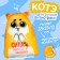 Toy - anti -stress Kote "The power of cute and charm"