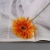 Artificial flowers "chrysanthemum lux" d-11sm, 40 cm, orange