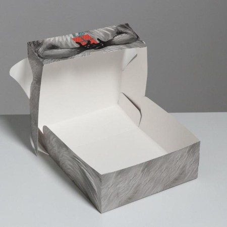 Gift folding box, packaging, “raccoon”, 25 x 25 x 10 cm-1