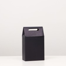 Box package with a pen, 27 x 16 x 9 cm