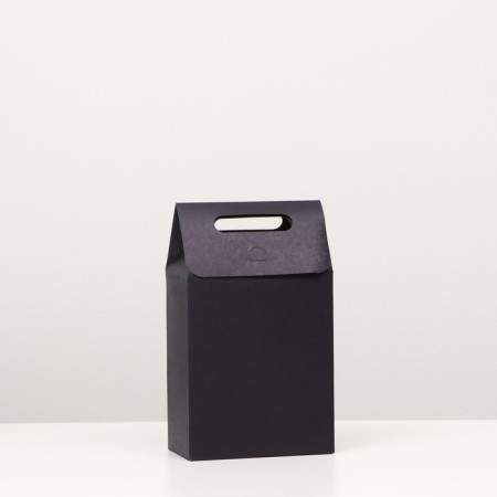Box package with a pen, 27 x 16 x 9 cm