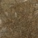 Casual mini food for aquariums with a mixed community, 15 g, 25 ml