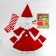 New Year! Carnival set "Cute Sandochka", height 104-110 cm