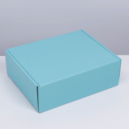 Gift folding box, packaging, Tiffany, 27 x 21 x 9 cm-1