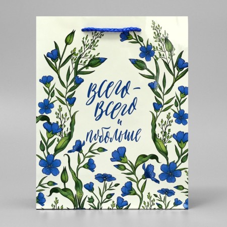 Gift Package Laminated, Packaging, "Just All", MS 18 x 23 x 8 cm-2