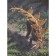 All about dinosaurs and other ancient animals. Brillante J., Chesa A.