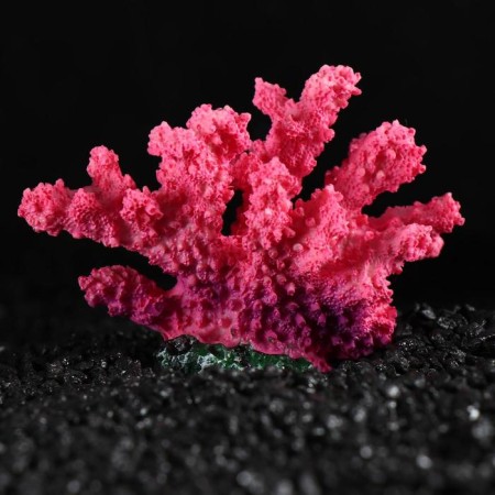 Decorative Coral "Sinulary", 10 x 5 x 6.5 cm-1