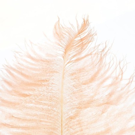 Feather for decor, length from 45 to 60 cm, pale coral color-1