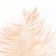 Feather for decor, length from 45 to 60 cm, pale coral color