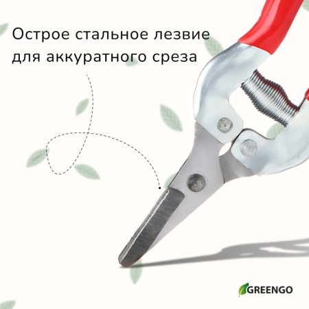 Garden scissors, 7 "(18 cm), with metal pens, rubberized handle, Greengo-5