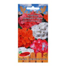 Flower seeds Pelargonium large -flowered 