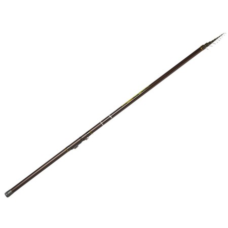 The float rod with the rings of Salmo Diamond Bolognes Light MF, test 3-15 g, length 6 m.