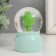 Souvenir Polystone Water Ball Light "Happy Beast" MIX 4x4x6.7 cm