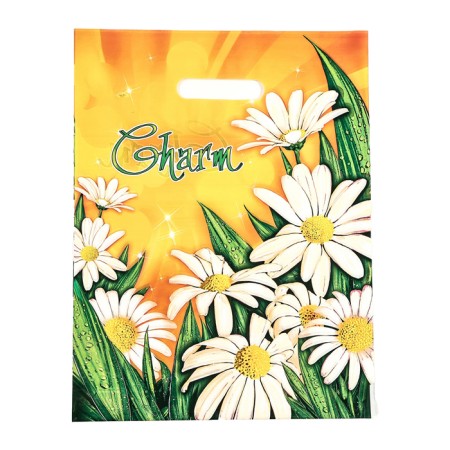 Package "Charm", polyethylene with a cut pen, 30x40 cm, 60 μm