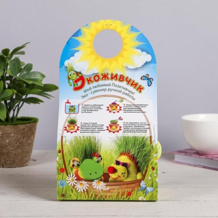 Growing gift Eco -Zhizhivchik "heart" mix-6