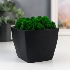 Concrete Kashpo 