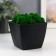 Concrete Kashpo "Classic" with moss height 9 cm black (moss green stabilized)
