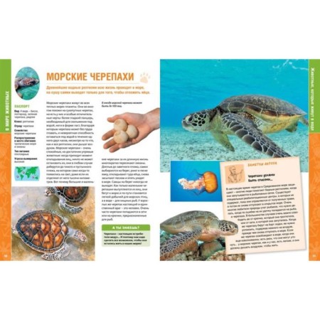 Encyclopedia. In the animal world-4